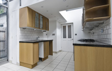 Little Shoddesden kitchen extension leads